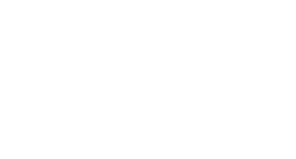 White Ark Enterprises
